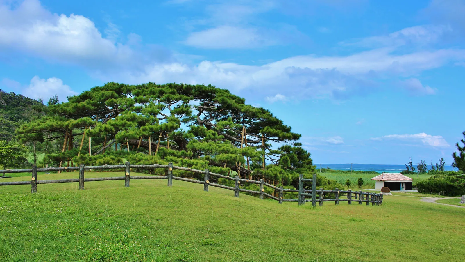 伊平屋島　（フェリー/約80分）